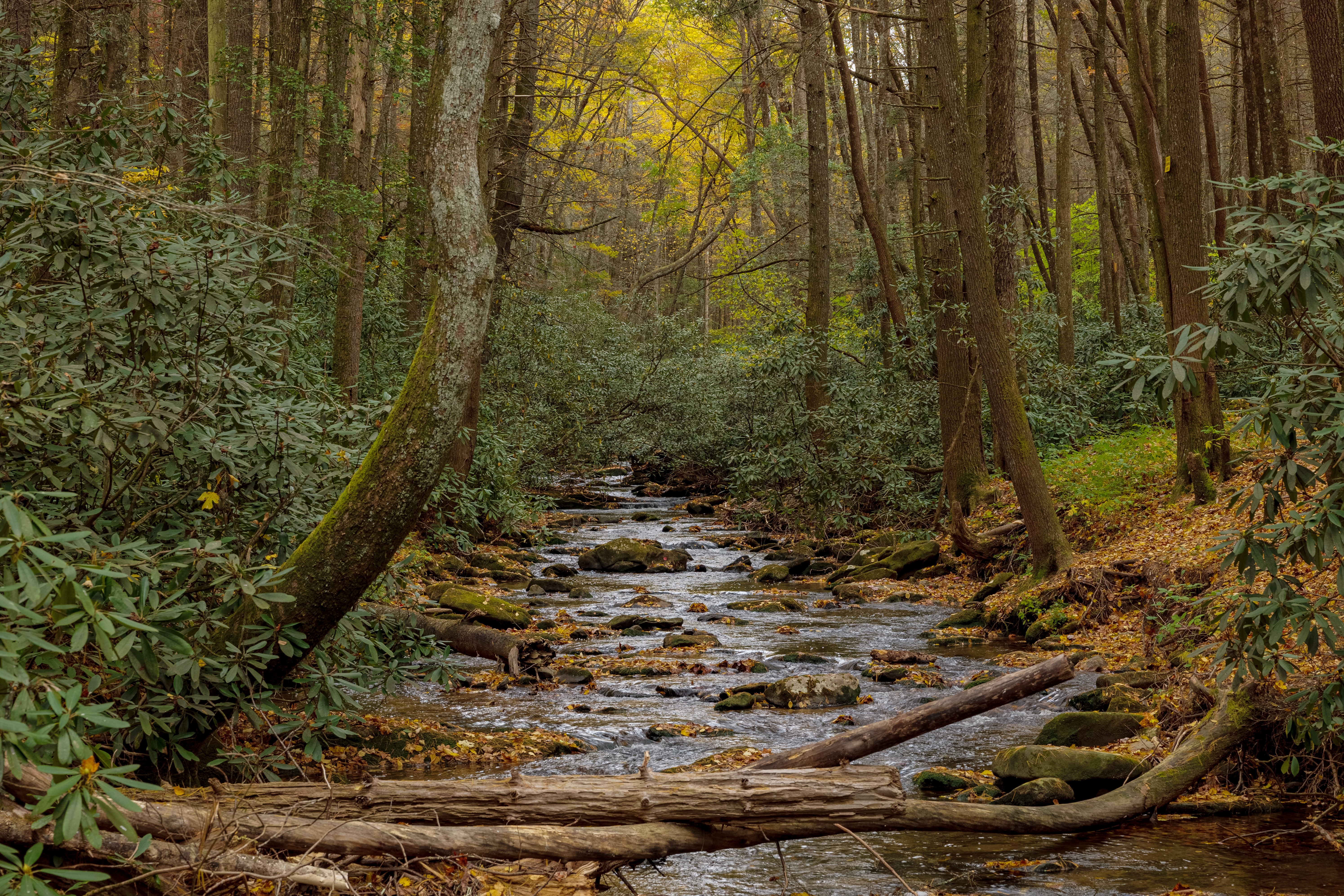 8 Fall Hikes through the Blue Ridge Mountains Blog Post